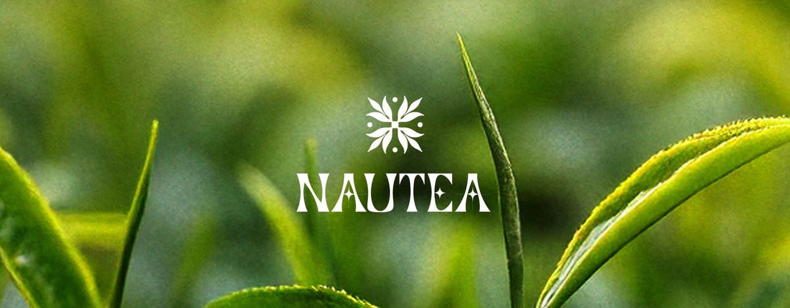 Nautea logo banner — animation and motion design by Gillu Studio